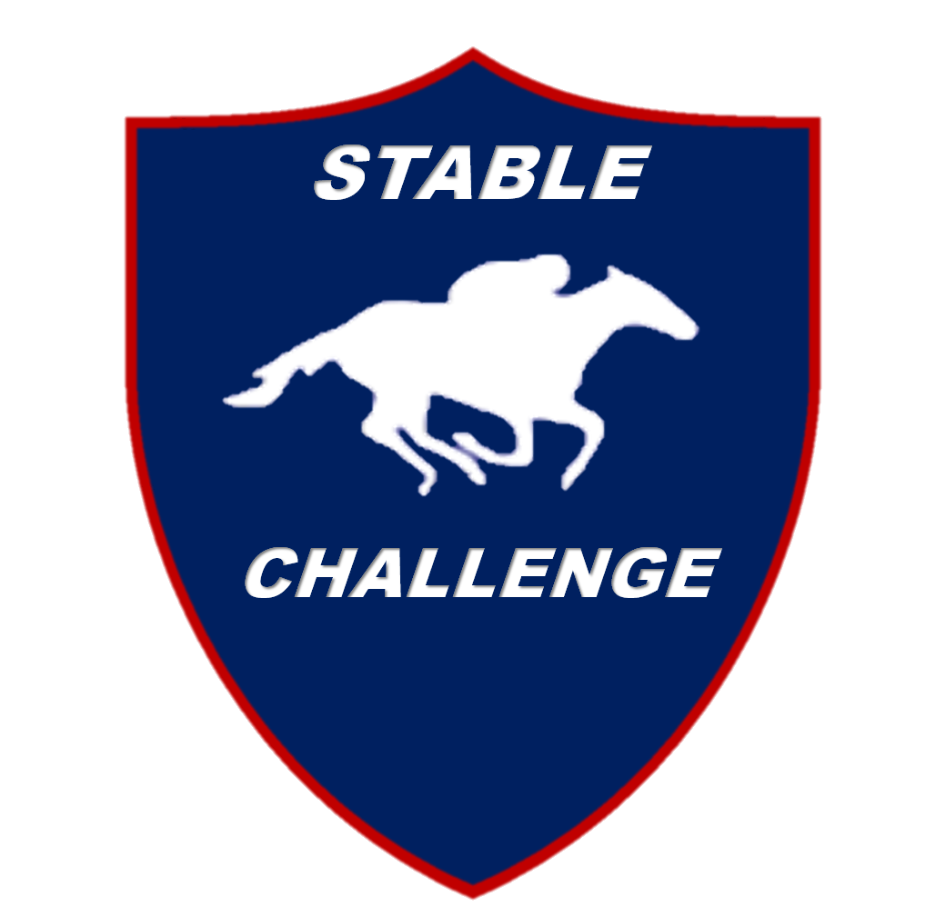Stable Challenge
